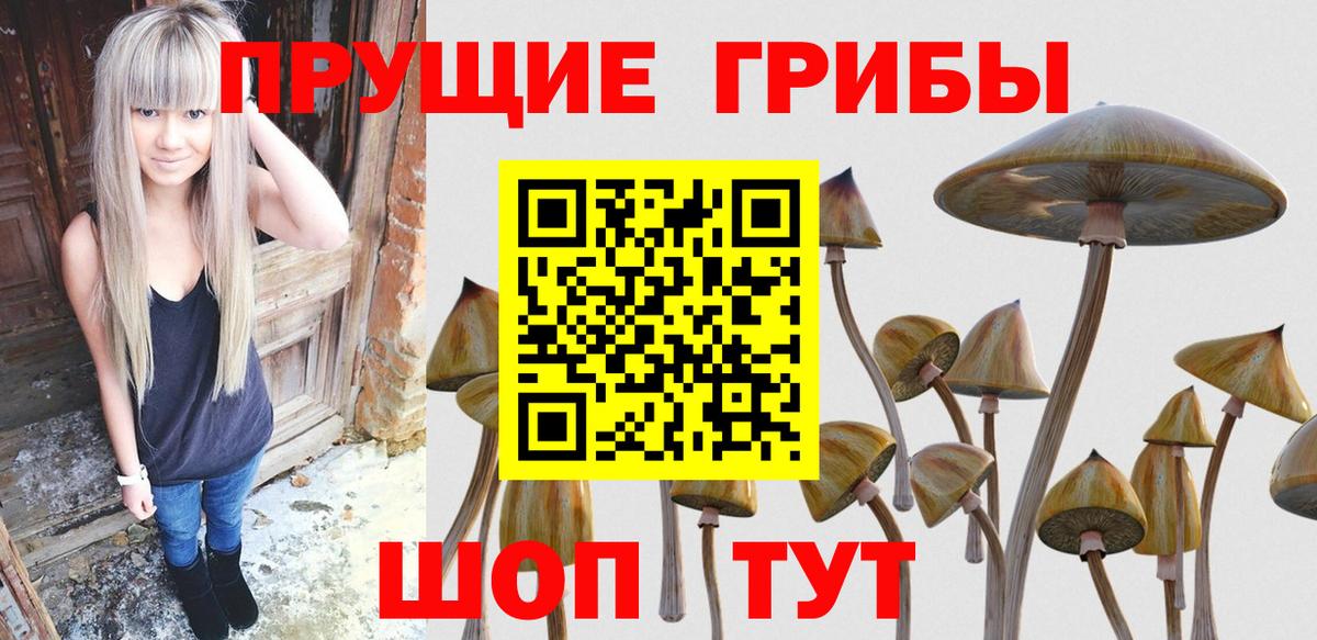 Псилоцибиновые грибы мицелий  Вход с VPN  где можно купить   Северобайкальск 